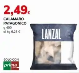 Basko Calamaro patagonico LANZAL offerta