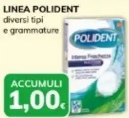 Basko Linea POLIDENT offerta