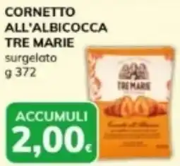 Basko Cornetto all'albicocca TRE MARIE offerta