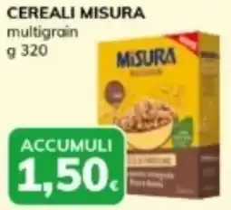 Basko Cereali misura multigrain offerta