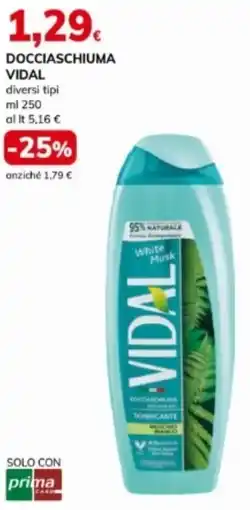 Basko Docciaschiuma VIDAL offerta