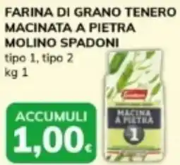 Basko Farina di grano tenero macinata a pietra molino spadoni tipo 1, tipo 2 offerta