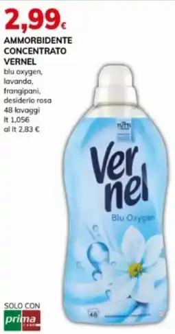 Basko Ammorbidente concentrato VERNEL offerta