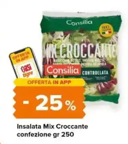 Tigre Consilia Insalata Mix Croccante confezione offerta