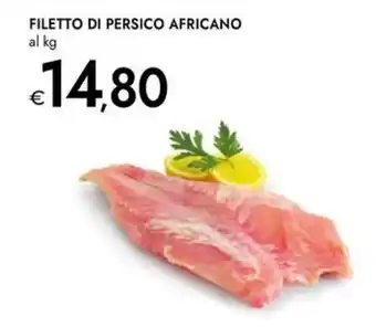 Bennet Filetto di persico africano offerta