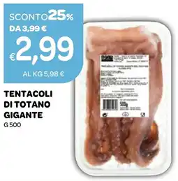 Ekom Tentacoli di totano gigante offerta