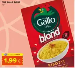 Tigre Riso gallo blond offerta