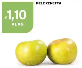 Ekom Mele renetta offerta