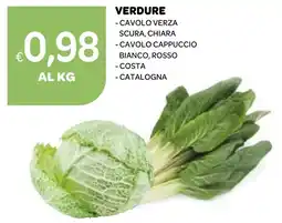 Ekom Verdure cavolo verza scura, chiara offerta