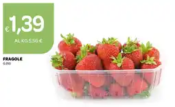 Ekom Fragole offerta