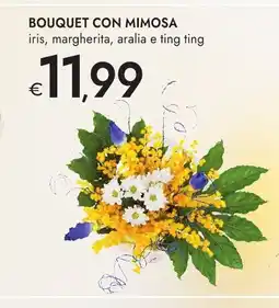 Bennet Bouquet con mimosa offerta