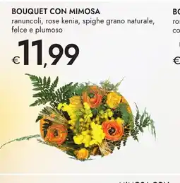 Bennet Bouquet con mimosa offerta
