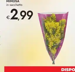 Bennet Mimosa in sacchetto offerta