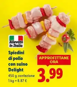 Lidl Spiedini di pollo con suino “Delight” offerta