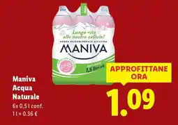 Lidl MANIVA ACQUA NATURALE offerta