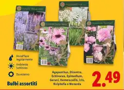 Lidl Bulbi assortiti offerta