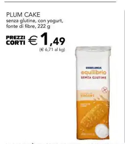 Esselunga PLUM CAKE offerta