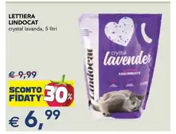 Esselunga LETTIERA LINDOCAT offerta