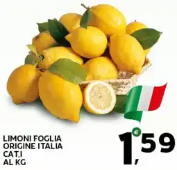 Extra Supermercati Limoni foglia origine italia cat.i offerta