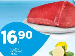 Extra Supermercati Filone di tonno offerta