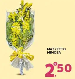 Extra Supermercati Mazzetto mimosa offerta