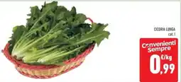 Conad Cicoria lunga cat. I offerta