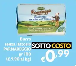 Eurospesa Burro senza lattosio PARMAREGGIO offerta