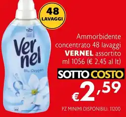 Eurospesa Ammorbidente concentrato 48 lavaggi VERNEL offerta
