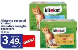 Sigma Alimento per gatti Kitekat simpatica canaglia, pescatore offerta