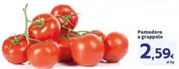 Sigma Pomodoro a grappolo offerta