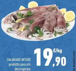 Conad Calamaro intero prodotto pescato decongelato offerta