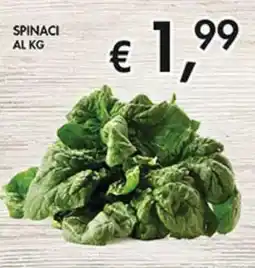 Coal Spinaci offerta