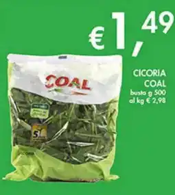 Coal Cicoria coal busta offerta