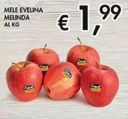 Coal Mele evelina melinda offerta