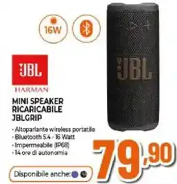 Expert Mini speaker ricaricabile jblgrip offerta