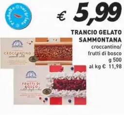 Coal Trancio gelato sammontana croccantino/ frutti di bosco offerta