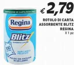 Coal Rotolo di carta assorbente blitz REGINA offerta