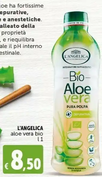 Deco Supermercati L'angelica - aloe vera bio offerta