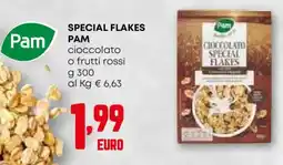 Pam Special flakes pam cioccolato o frutti rossi offerta