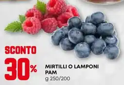 Pam Mirtilli o lamponi pam offerta