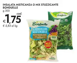 Bennet Insalata misticanza o mix stuzzicante BONDUELLE offerta