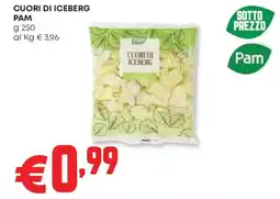Panorama Cuori di iceberg PAM offerta