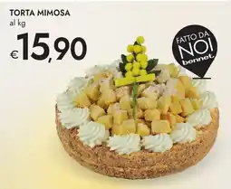 Bennet Torta mimosa offerta
