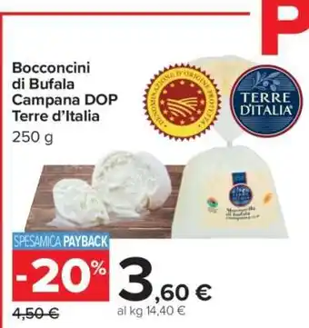 Carrefour Bocconcini di Bufala Campana DOP Terre d’Italia offerta