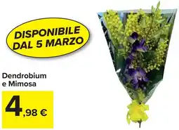 Carrefour Market Dendrobium e Mimosa offerta