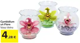 Carrefour Market Cymbidium un Fiore offerta