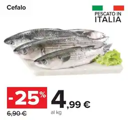Carrefour Cefalo offerta