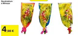 Carrefour Dendrobium e Mimosa offerta