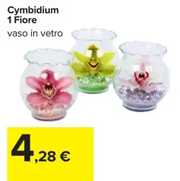 Carrefour Cymbidium 1 Fiore offerta