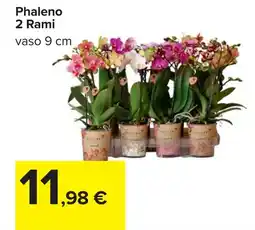 Carrefour Phaleno 2 Rami offerta